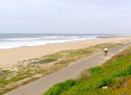 Surf City Beach Trail near Dog Beach