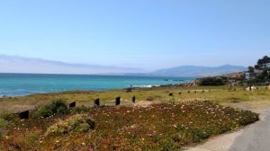 Beautiful coastal vistas from the Fiscalini Ranch Preserve. A hike-only path closer to the sea provides glimpses of those darling sea otters foraging in the kelp.