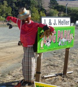 Here is a humorous entry for Cambria's dog park. 